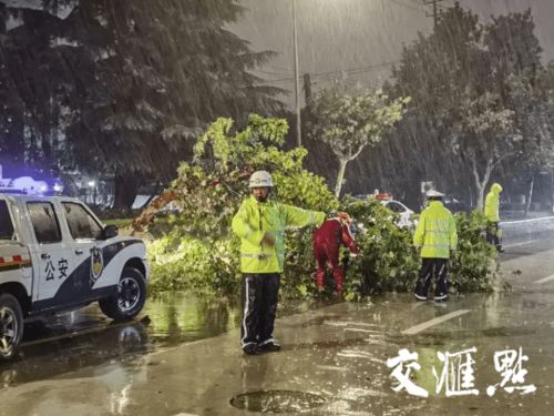 江蘇多地交警推出便民停車(chē)措施 商場(chǎng)樓頂免費(fèi)與道路兩側(cè)有序停放